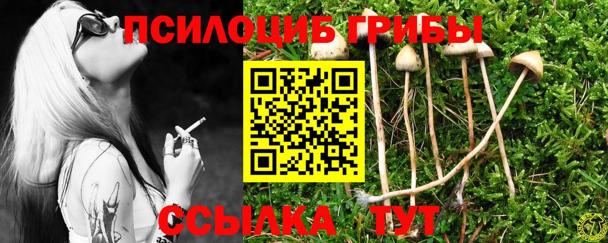Галлюциногенные грибы Psilocybine cubensis Волгоград