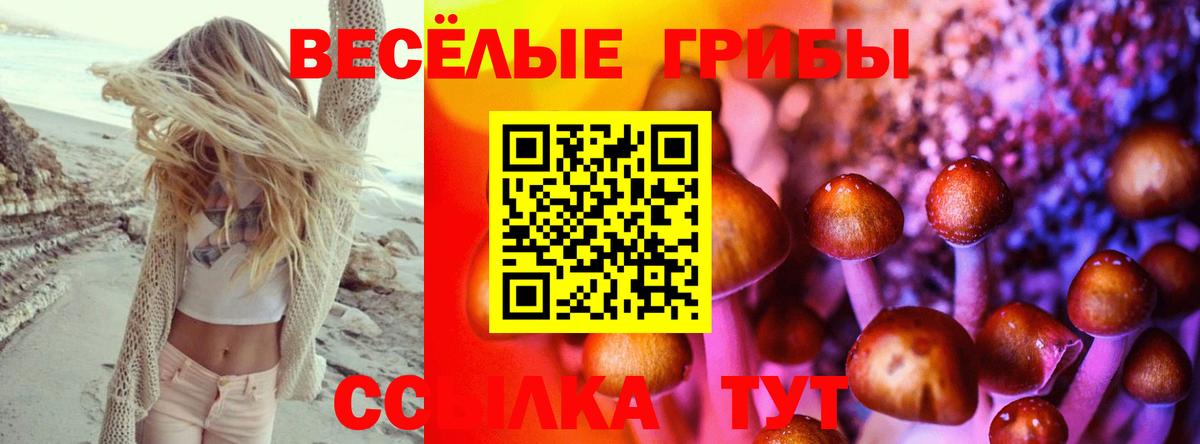 Галлюциногенные грибы GOLDEN TEACHER  Вход с VPN  Волгоград 