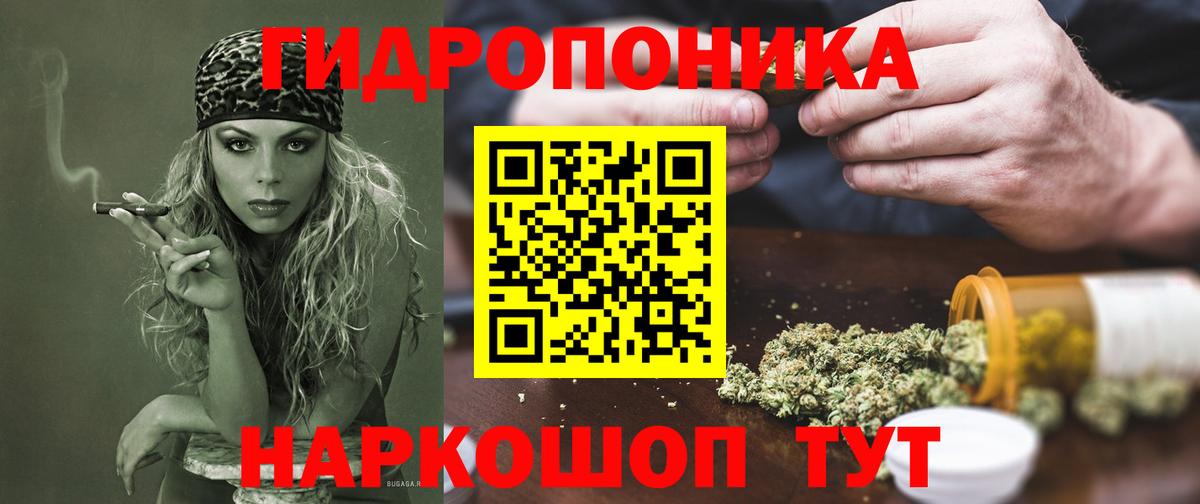 Конопля SATIVA & INDICA  Конопля OG Kush  Вход с VPN  Конопля индика  Волгоград 